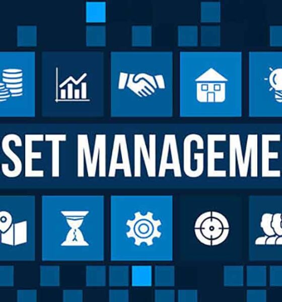Why Business Owners Should Consider Asset Management