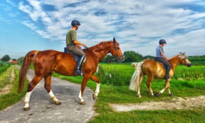 How Horseback Adventures Foster Connection and Wellness