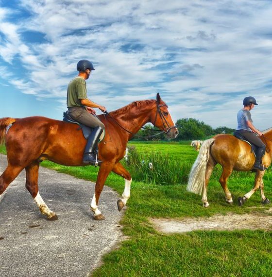 How Horseback Adventures Foster Connection and Wellness