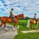 How Horseback Adventures Foster Connection and Wellness