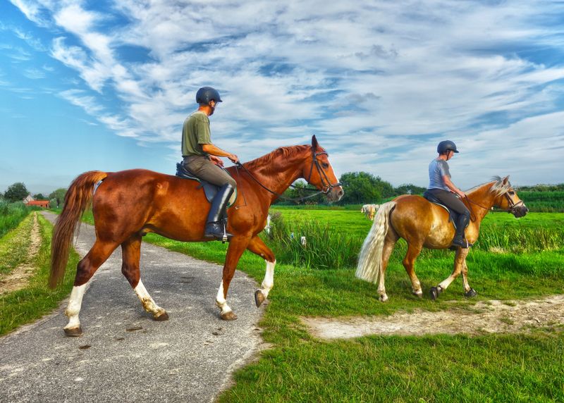 How Horseback Adventures Foster Connection and Wellness