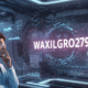 Waxillgro279: Understanding the Digital Term and Its Emerging Relevance