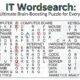 IT Wordsearch: The Ultimate Brain-Boosting Puzzle for Every Age